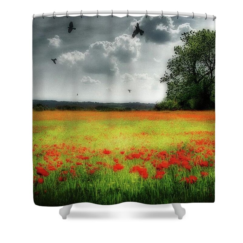 Poppies Shower Curtains