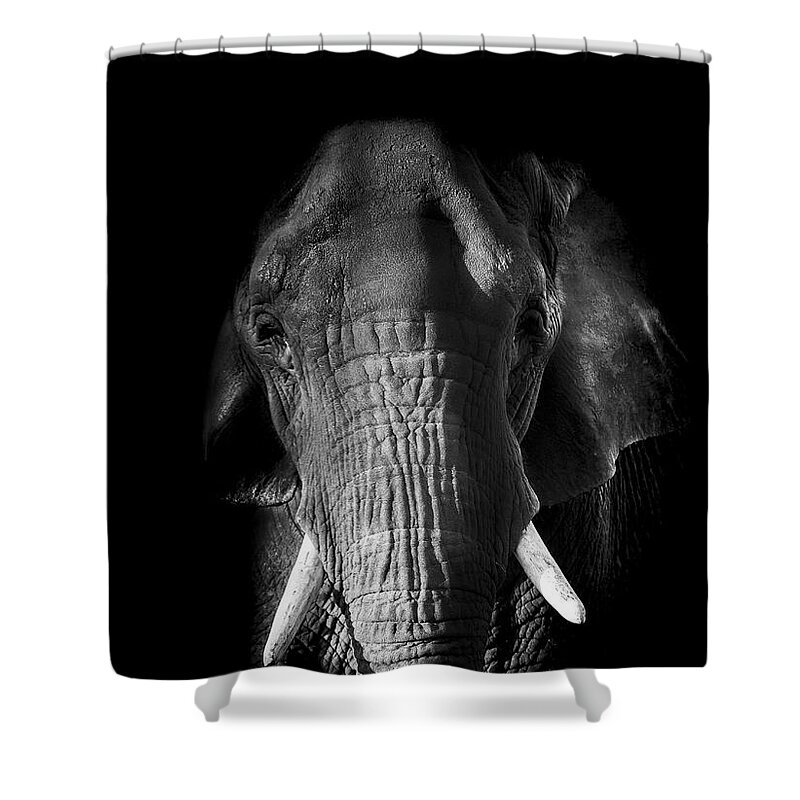 Elephant Shower Curtain featuring the photograph Remembrance by Paul Neville