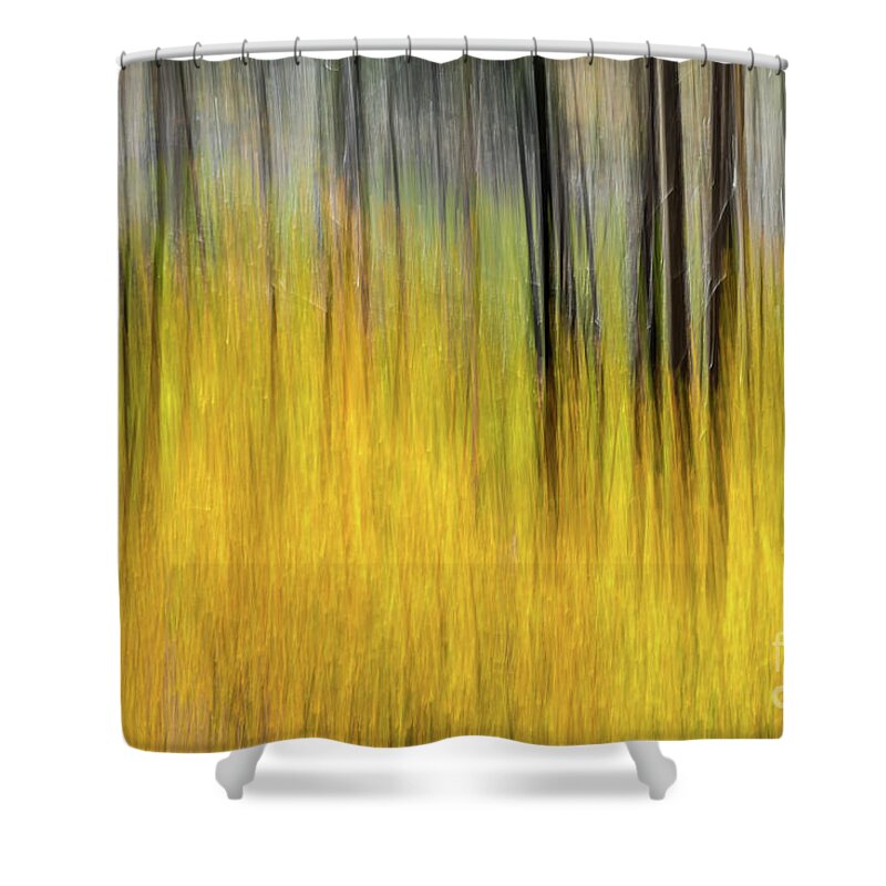 Kaylyn Franks Shower Curtain featuring the photograph Renewal Abstract Art by Kaylyn Franks by Kaylyn Franks