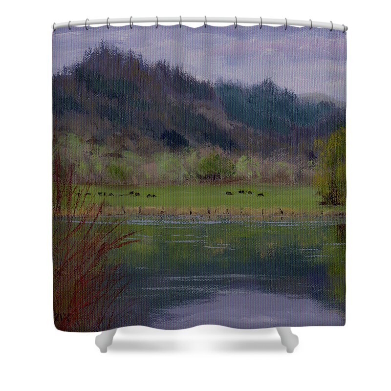 Reservoir Shower Curtain featuring the painting Reservoir Spring 2 by Karen Ilari