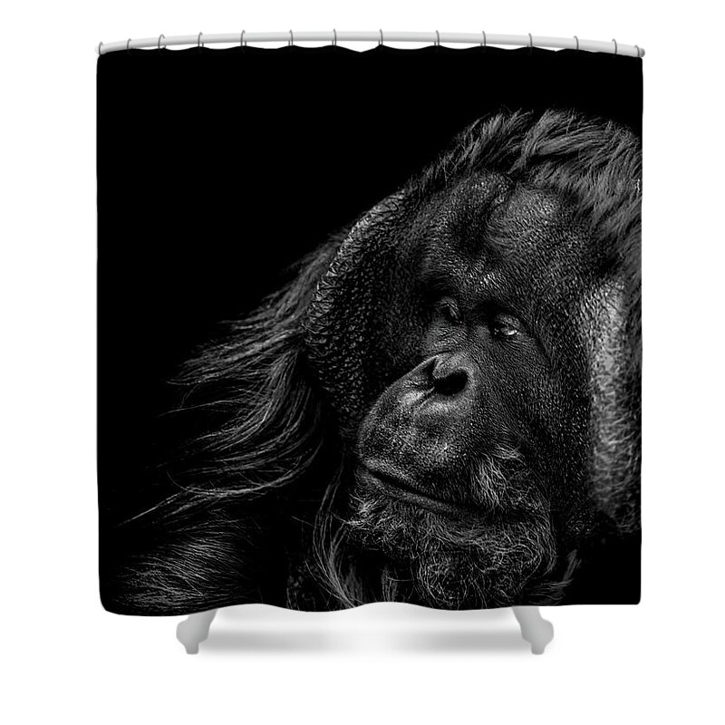 Orangutan Shower Curtain featuring the photograph Respect by Paul Neville