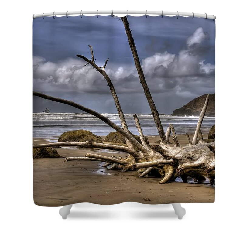 Hdr Shower Curtain featuring the photograph Resting by Brad Granger
