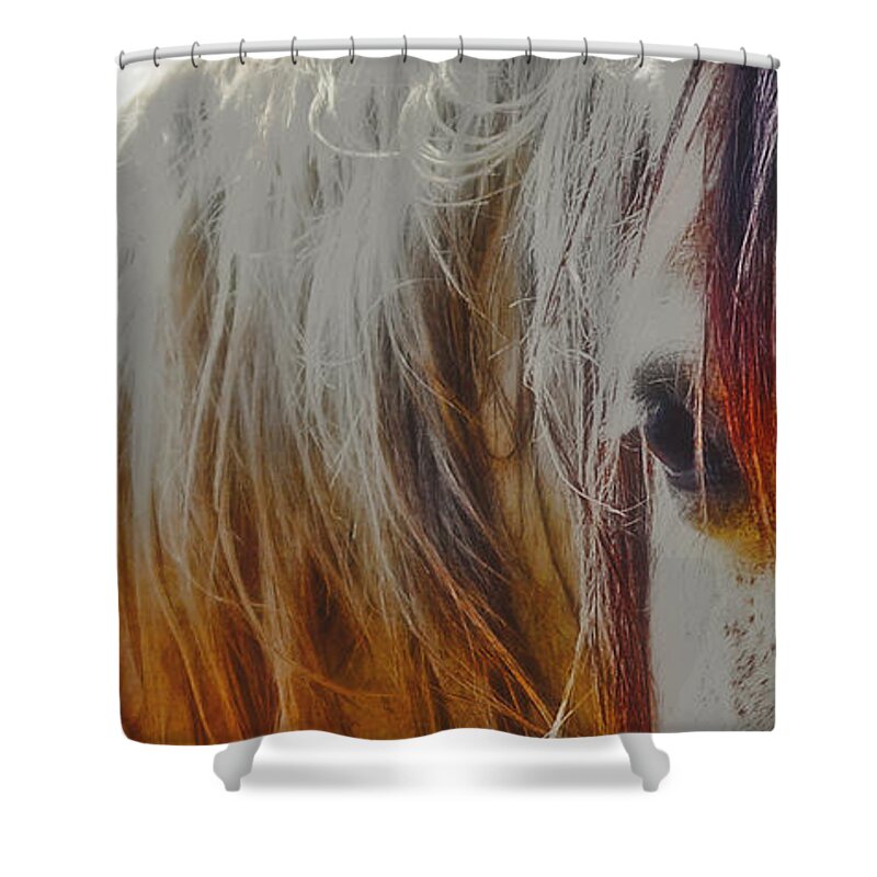 Retro Shower Curtain featuring the photograph Retro Sunlight and Grey by Amanda Smith