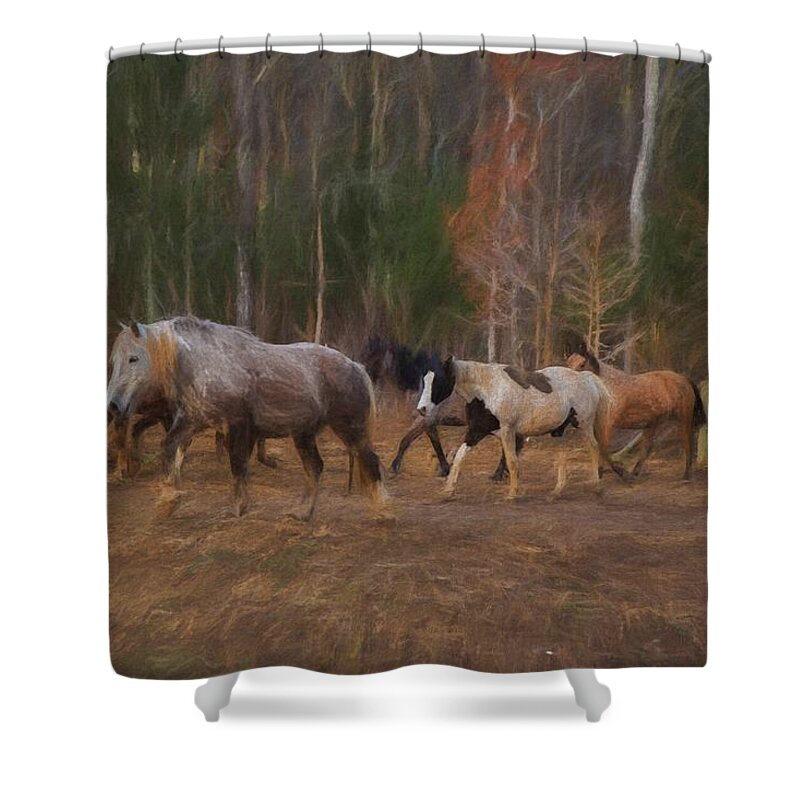 Nalture Shower Curtain featuring the photograph Return from the Forest by Dennis Baswell