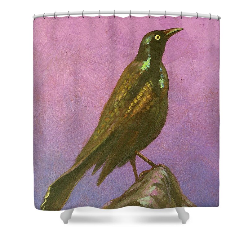 Grackle Shower Curtain featuring the painting Rev, Carl Blunderbuss by Don Morgan