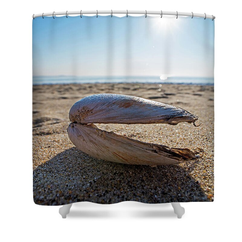 Revere Shower Curtain featuring the photograph Revere Beach Clam Shell Side Revere MA by Toby McGuire