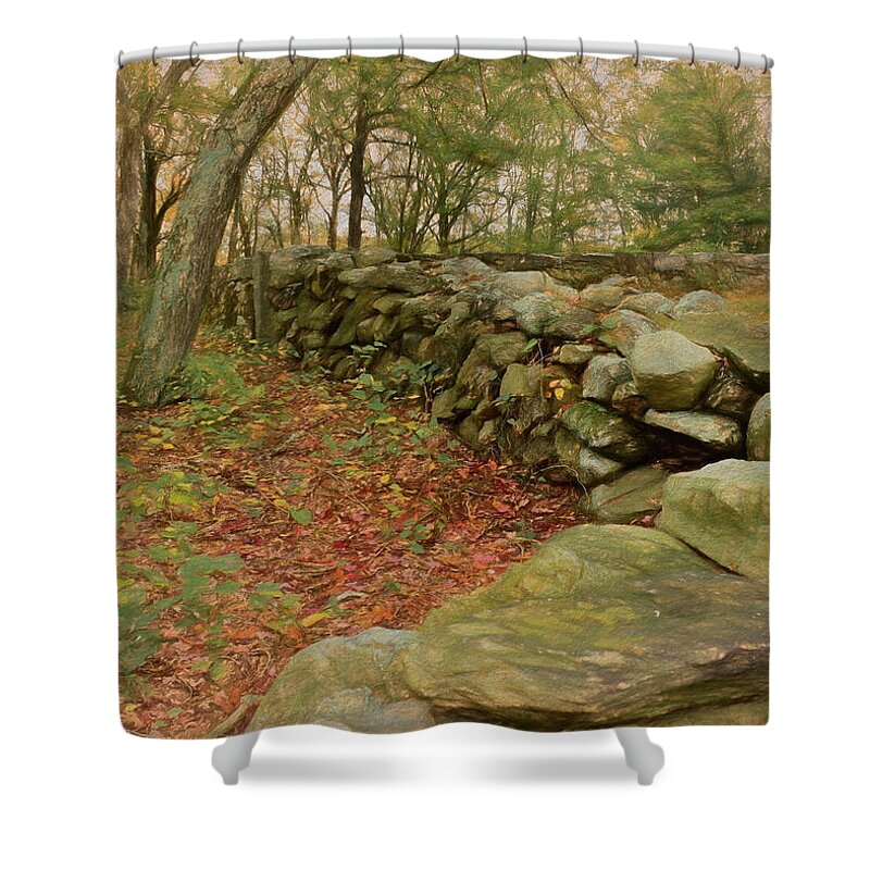 Stone Wall Shower Curtain featuring the photograph Reverie with Stone by Nancy De Flon