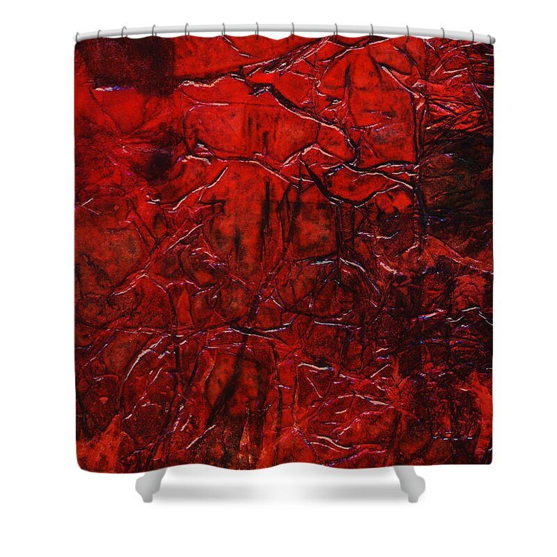 Abstract Shower Curtain featuring the mixed media Rhapsody of Colors 21 by Elisabeth Witte - Printscapes