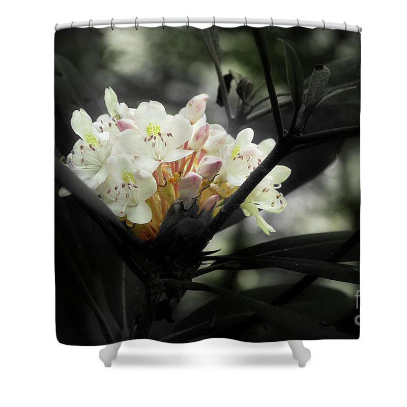 Blooming Rhododendron Shower Curtain featuring the photograph Rhododendron Blooms by Mike Eingle