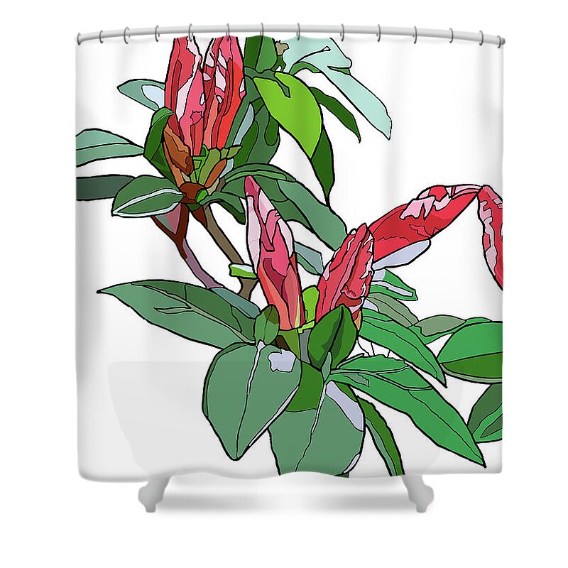 Rhododendron Shower Curtain featuring the painting Rhododendron buds by Jamie Downs