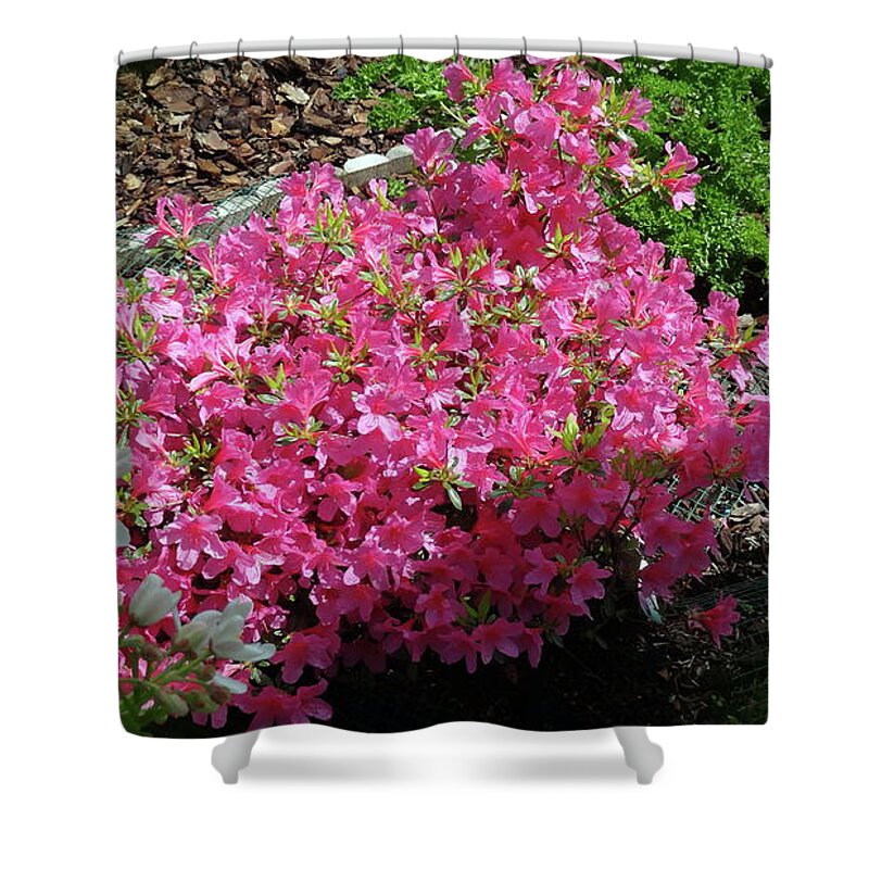 Rhododendron Shower Curtain featuring the photograph Rhododendron by Jackie Russo