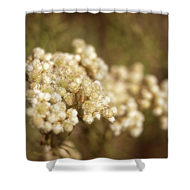 Rice Flower Shower Curtain featuring the photograph Rice Flower by Caitlyn Grasso
