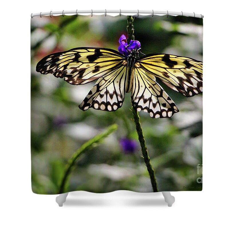 Rice Paper Butterfly Shower Curtain featuring the photograph Rice Paper Butterfly by Sandra Huston