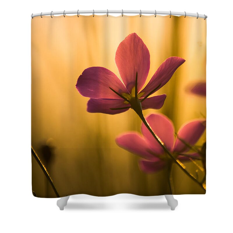 Flower Shower Curtain featuring the photograph Rich Beauty by Parker Cunningham