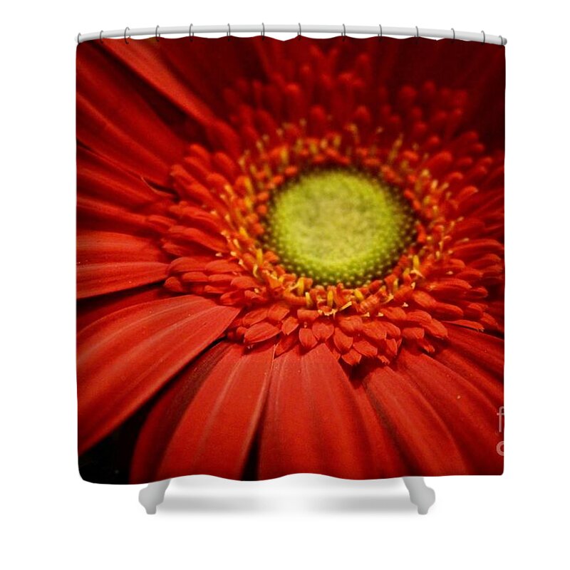 Flower Shower Curtain featuring the photograph Rich Reds by Deena Withycombe