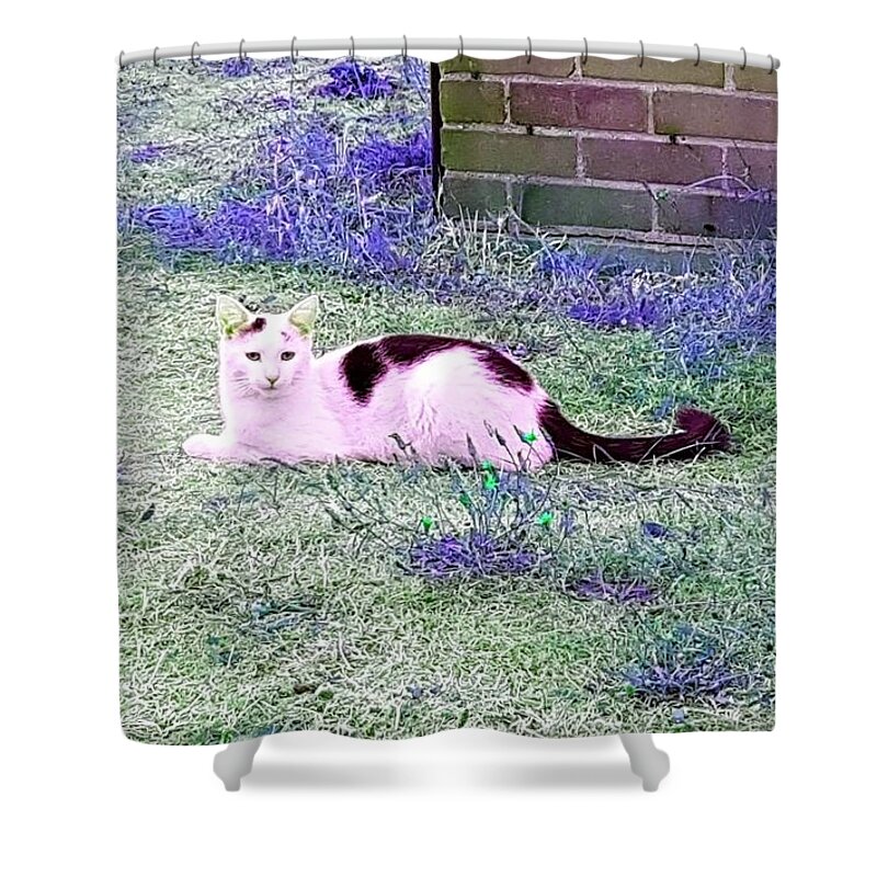 Fantasy Shower Curtain featuring the photograph Rico Resting In Emerald Indigo by Rowena Tutty