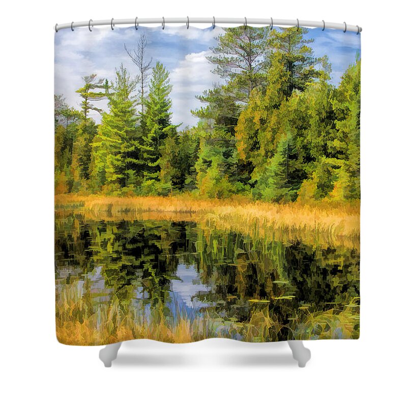 Door County Shower Curtain featuring the painting Ridges Sanctuary Reflections by Christopher Arndt