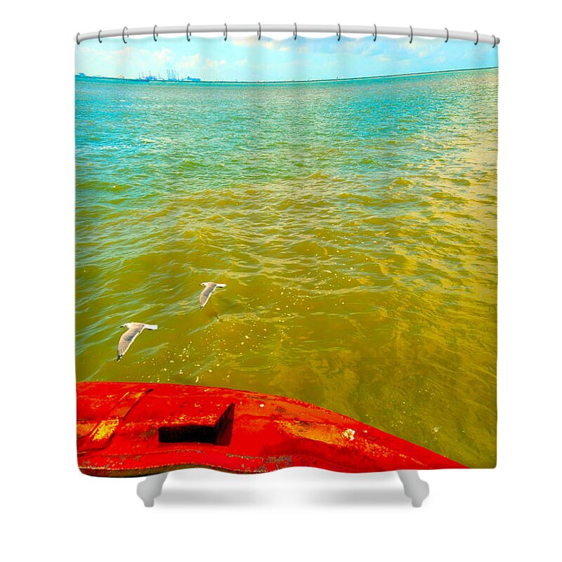 Galveston Shower Curtain featuring the photograph Riding the WInd - A Birds View by Max Mullins
