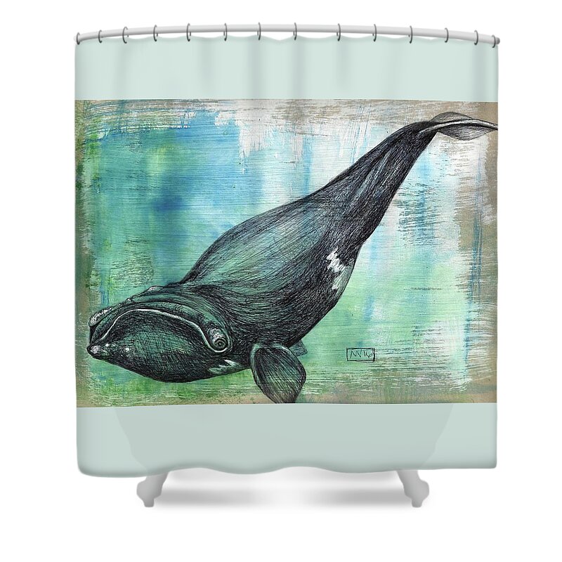 Right Whale Shower Curtain featuring the mixed media Right Whale by AnneMarie Welsh