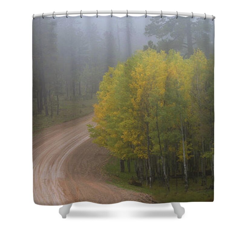 Autumn Shower Curtain featuring the photograph Rim Road by Matalyn Gardner