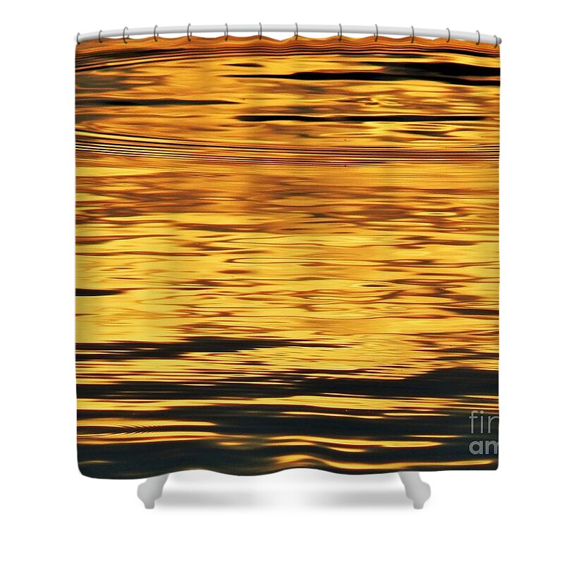 Pond Shower Curtain featuring the photograph Ring Of Gold Sun Reflection by Jan Gelders