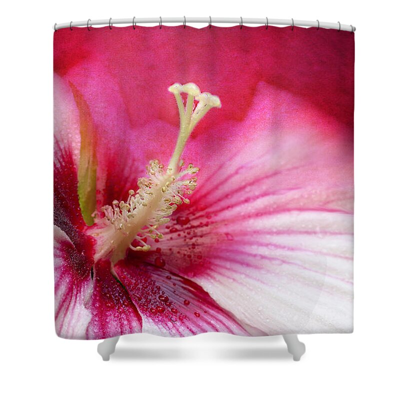 Hibiscus Flower Shower Curtain featuring the photograph Misty Sunburst by Marina Kojukhova