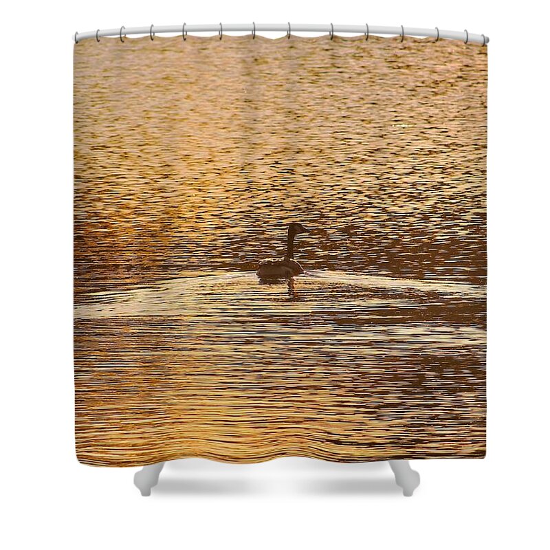 Ripples Shower Curtain featuring the photograph Copper by Karl Anderson