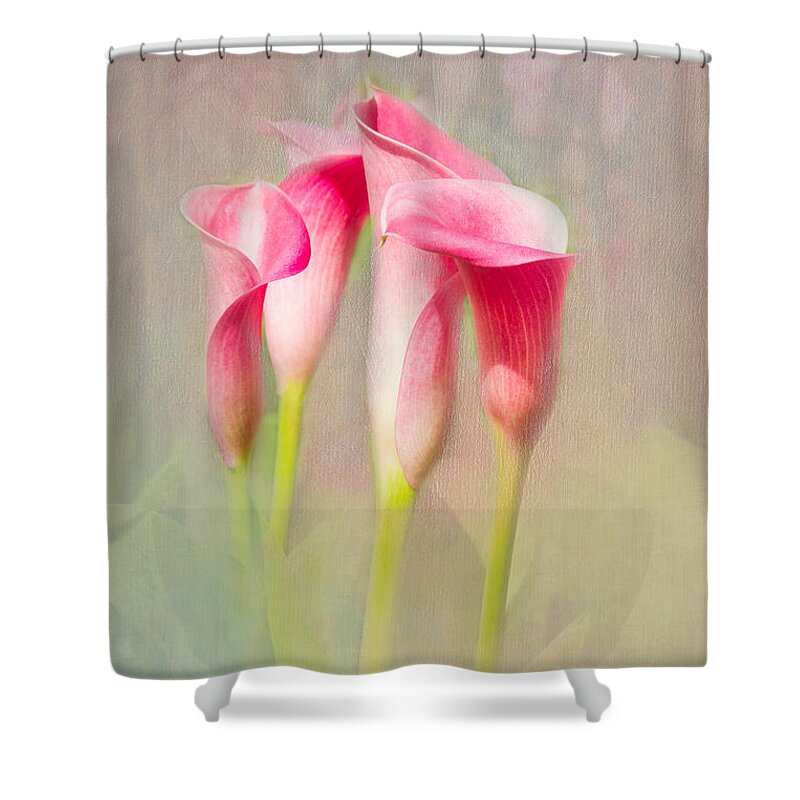 Calla Shower Curtain featuring the photograph Rising Up by Marilyn Cornwell