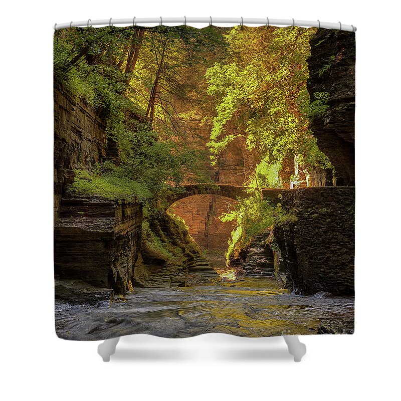 Gorge Shower Curtain featuring the photograph Rivendell Bridge by Rod Best