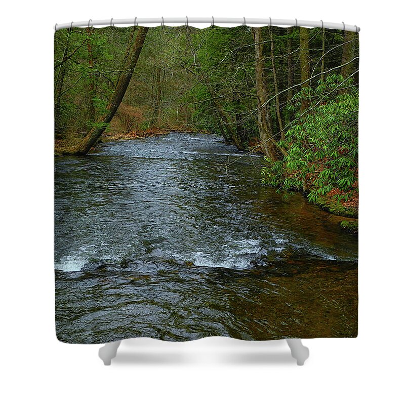 River In Caledonia State Park Along The At Shower Curtain featuring the photograph River in Caledonia State Park Along the AT by Raymond Salani III