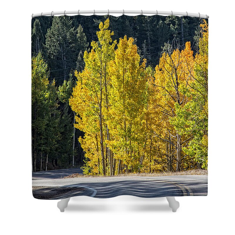 Fall Shower Curtain featuring the photograph Road to Autumn by Barry C Donovan