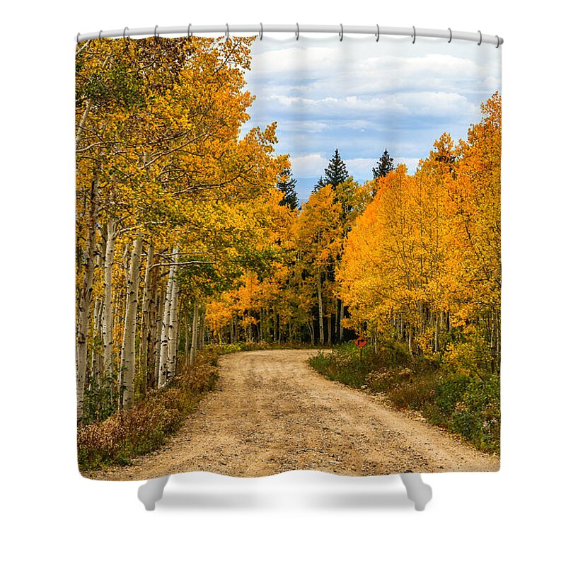Fall Color Shower Curtain featuring the photograph Road To Fall by Juli Ellen
