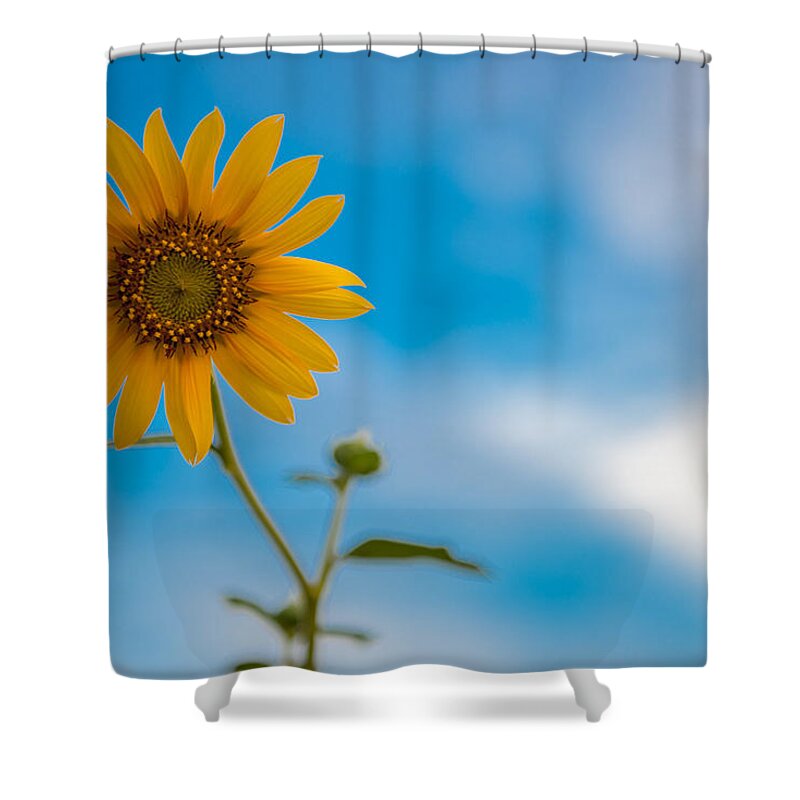 Brentwood Shower Curtain featuring the photograph Roadside Flower by Robin Mayoff