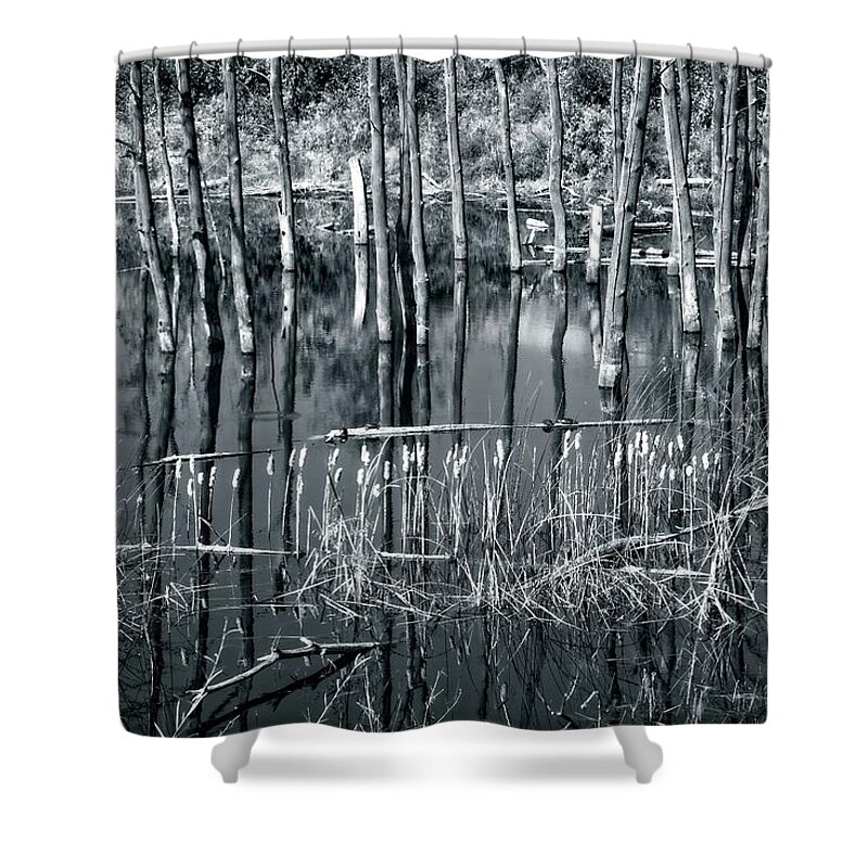 Vernon Shower Curtain featuring the photograph Roadside Reflections Black and White by Allan Van Gasbeck
