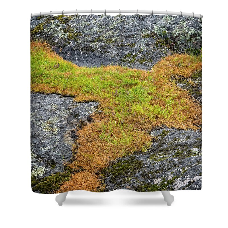 Oregon Coast Shower Curtain featuring the photograph Rock And Grass by Tom Singleton