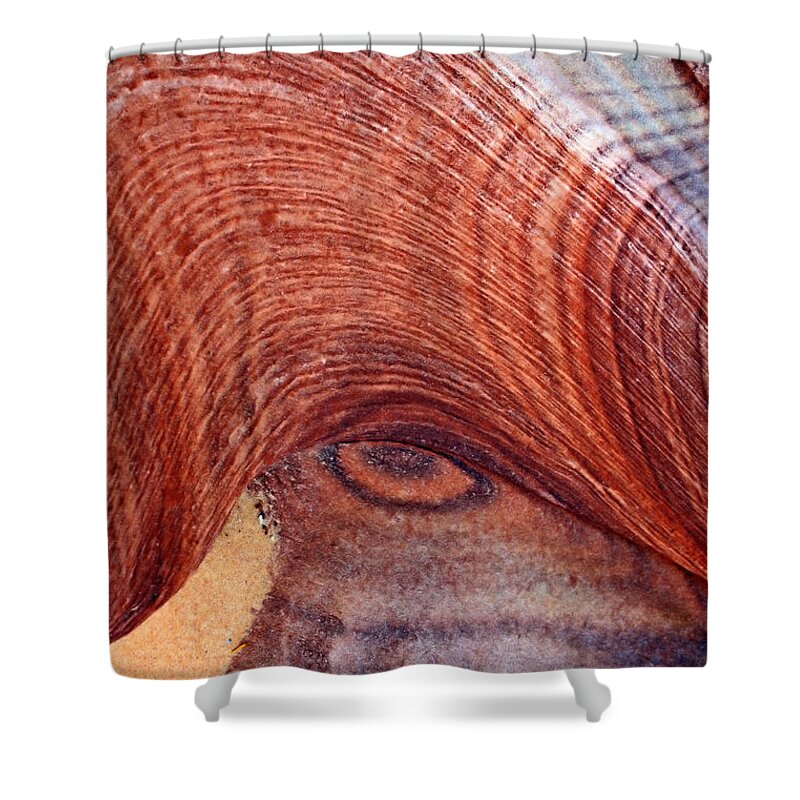 Rock Shower Curtain featuring the photograph Rock Art by Farol Tomson