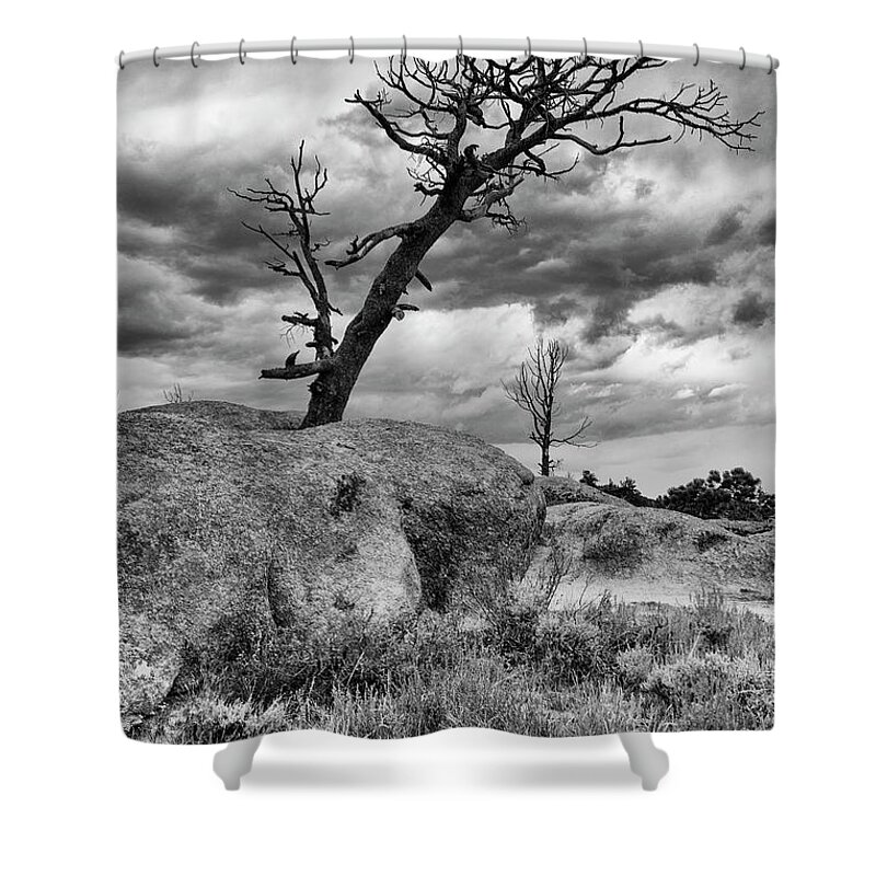 Black And White Shower Curtain featuring the photograph Rock Tree by Nancy Dunivin