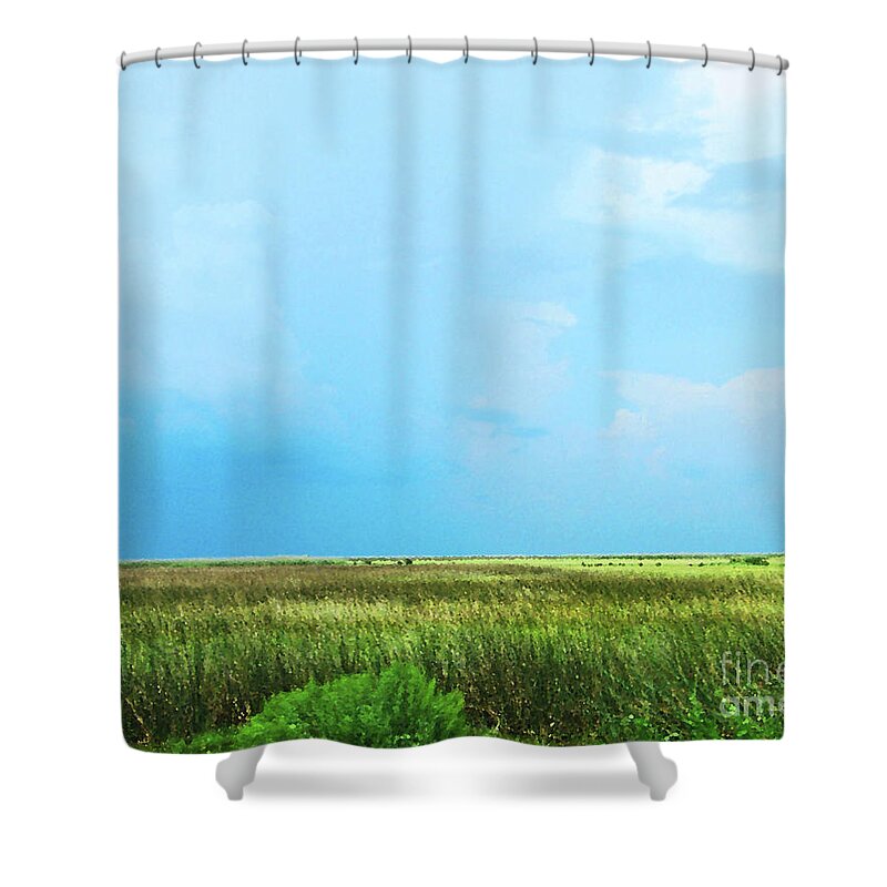 Wildlife Refuge Shower Curtain featuring the photograph Rockefeller WMA by Lizi Beard-Ward