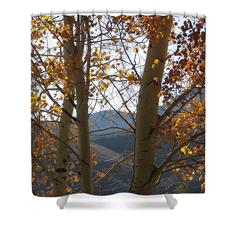 Aspen Shower Curtain featuring the photograph Rockies Autumn Haiku cover by Judith Lauter