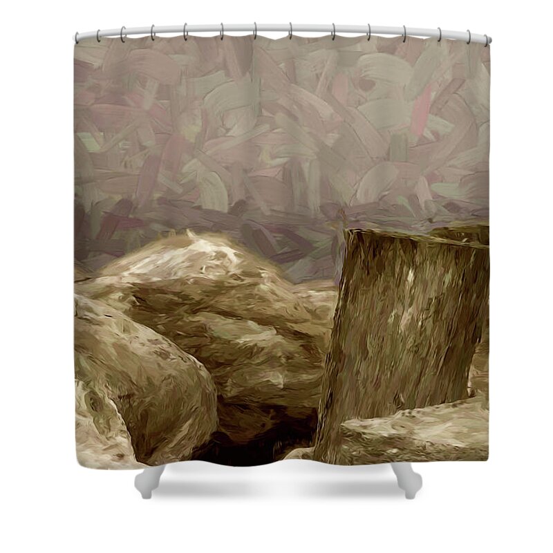 Coast Shower Curtain featuring the digital art Rocks and Pilings by Scott Carlton