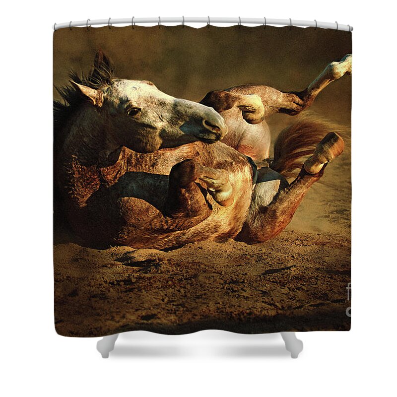 Horse Shower Curtain featuring the photograph Rolling Horse by Dimitar Hristov