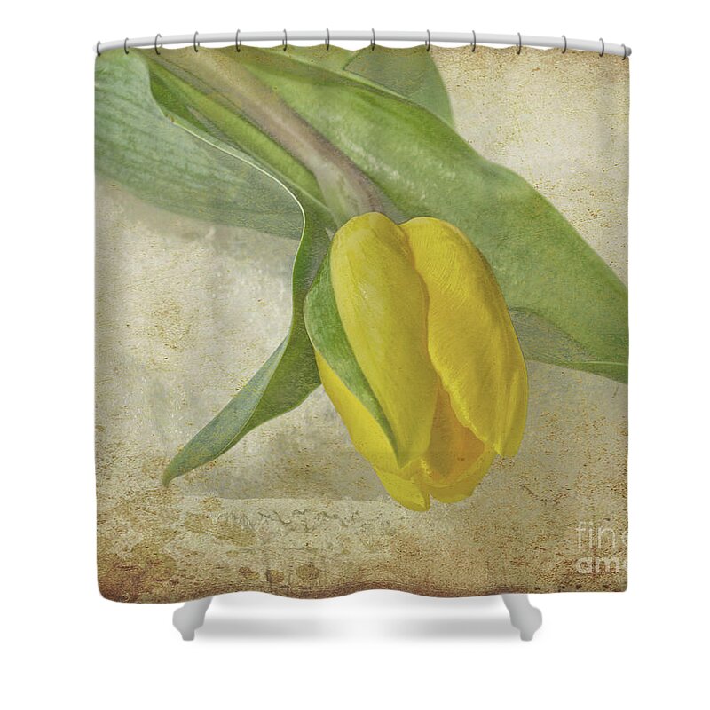 Antiqued Shower Curtain featuring the photograph Romance by Traci Cottingham