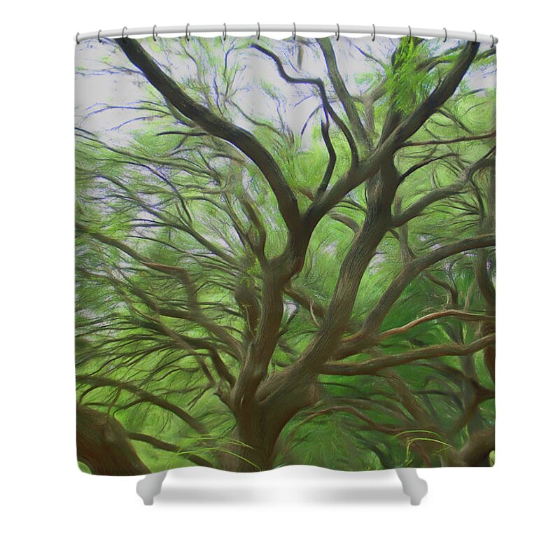 Oak Tree Shower Curtain featuring the photograph Romantic Skies Reaching Out by Aimee L Maher ALM GALLERY