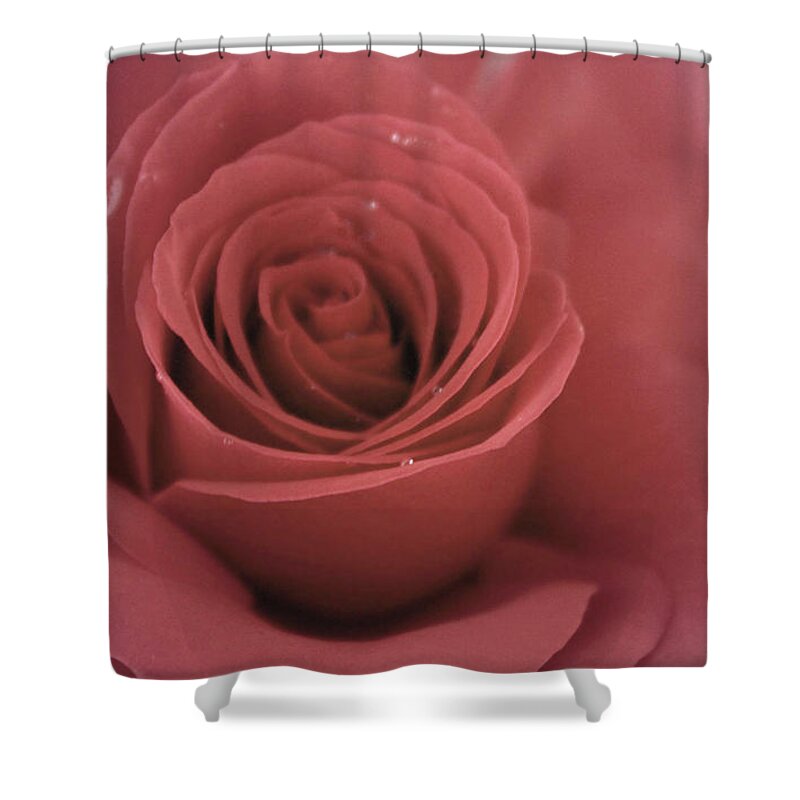  Shower Curtain featuring the photograph Romantic by The Art Of Marilyn Ridoutt-Greene