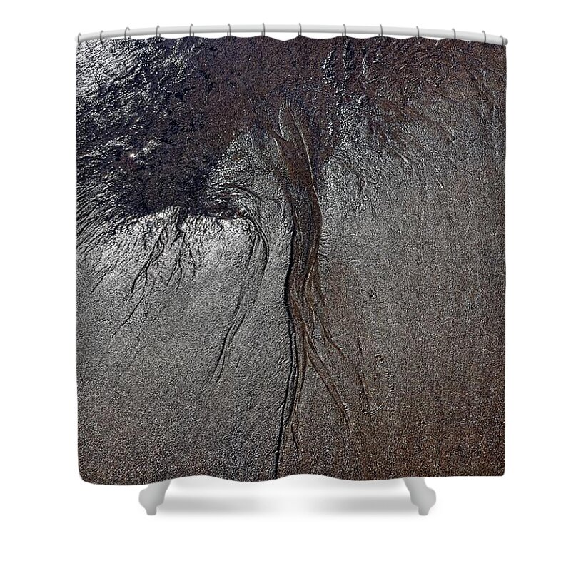 Seascape Shower Curtain featuring the photograph Rooted by Lauren Leigh Hunter Fine Art Photography