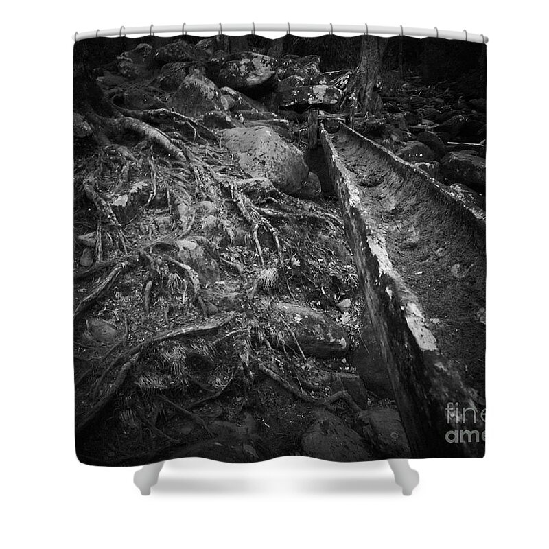 Roots Shower Curtain featuring the photograph Roots 2 by Stanton Tubb