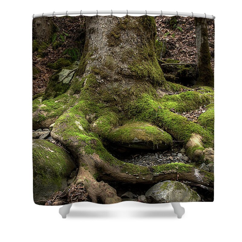 Roots Shower Curtain featuring the photograph Roots Along The River by Mike Eingle