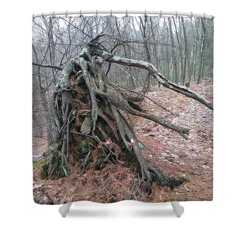 Tree Shower Curtain featuring the photograph Roots on a Hill by Robert Nickologianis