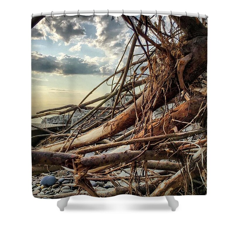 Lake Shower Curtain featuring the photograph Roots by Terri Hart-Ellis