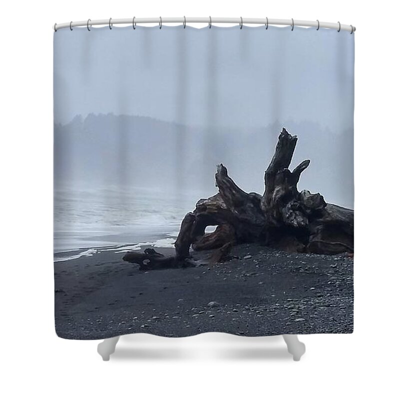 Rialto Beach Shower Curtain featuring the photograph Roots Touch Pacific by Alexis King-Glandon